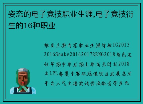 姿态的电子竞技职业生涯,电子竞技衍生的16种职业